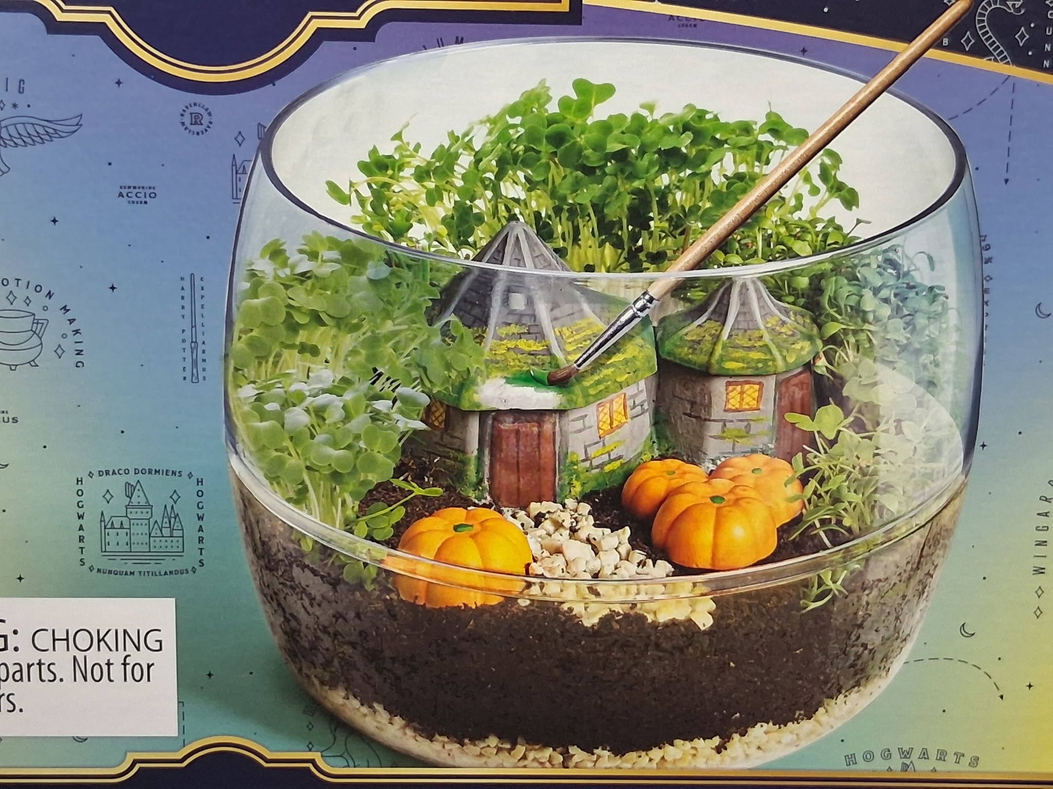 Harry Potter Hagrid’s Hut Terrarium Kit by Clementoni – Mini Ecosystem